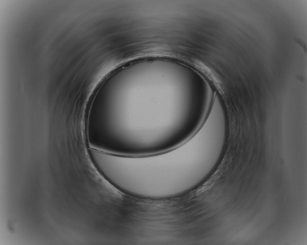 X0000091981334200709061145