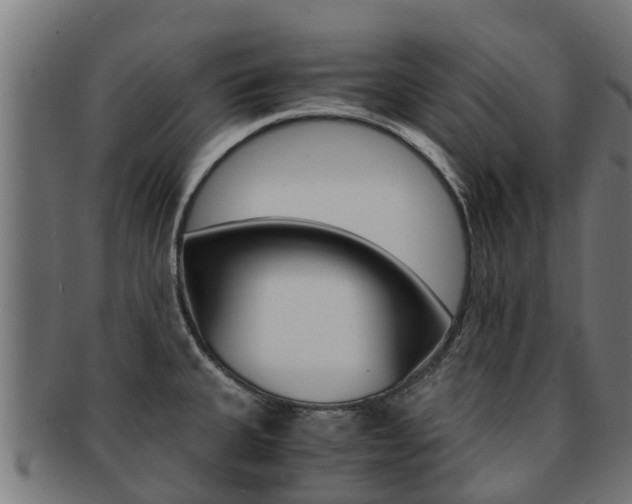 X0000091981335200709061145