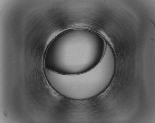 X0000091981336200709061145