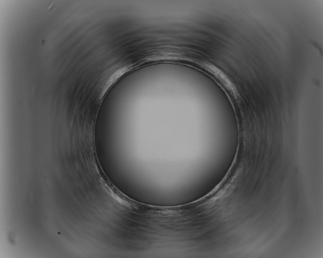 X0000091981337200709061145
