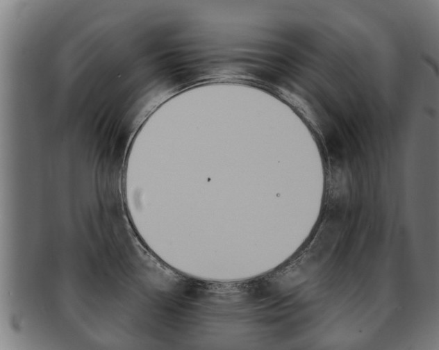 X0000091981338200709061145