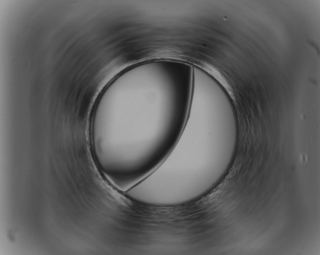 X0000091981339200709061145