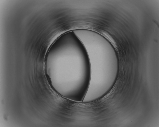 X0000091981340200709061145
