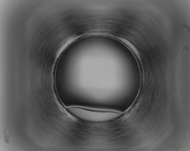 X0000091981341200709061145