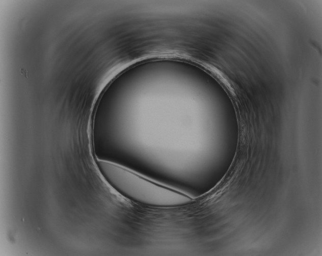 X0000091981343200709061145