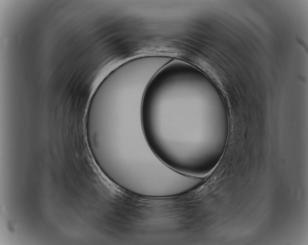 X0000091981344200709061145