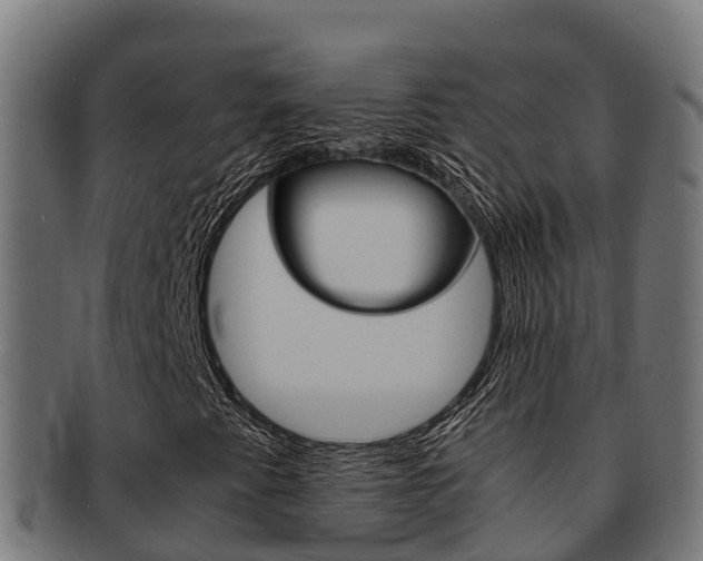 X0000091981345200709061144
