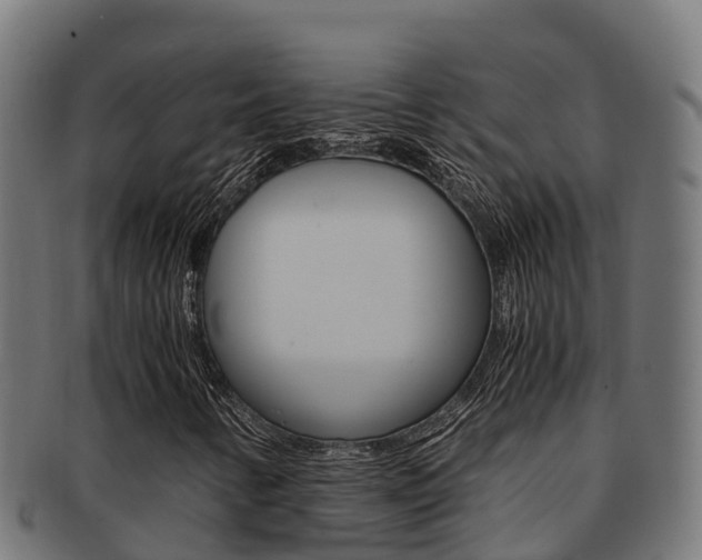 X0000091981346200709061144