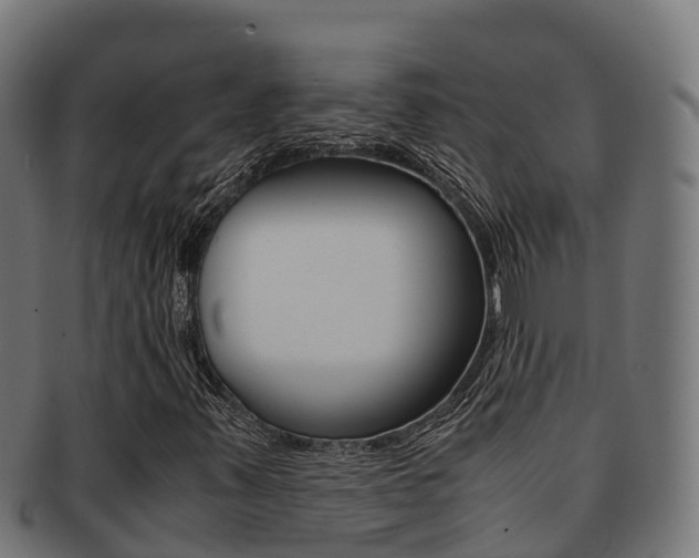 X0000091981347200709061144