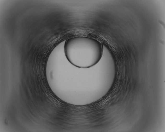 X0000091981348200709061144
