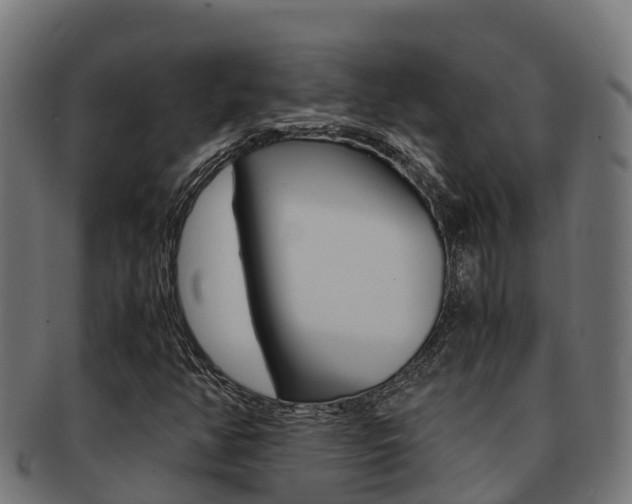 X0000091981350200709061144