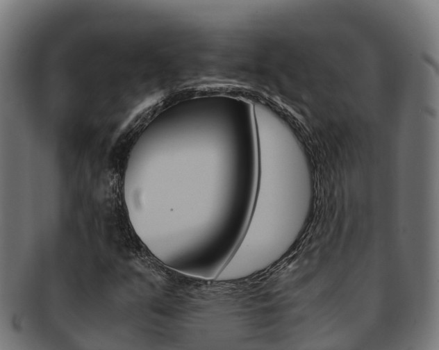 X0000091981351200709061144