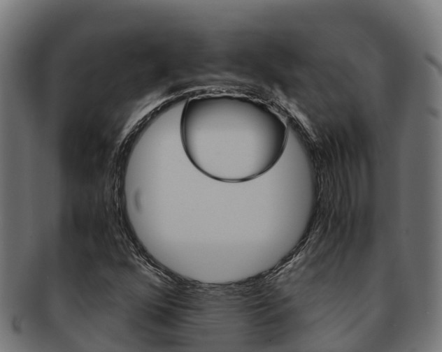 X0000091981352200709061144