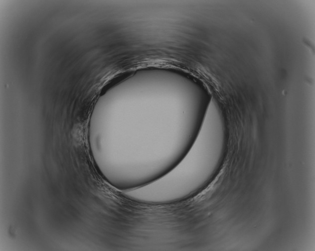 X0000091981353200709061144