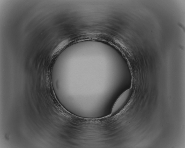 X0000091981354200709061144