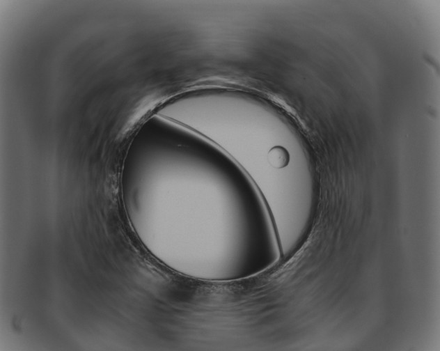 X0000091981355200709061144