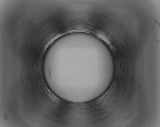 X0000091981356200709061144