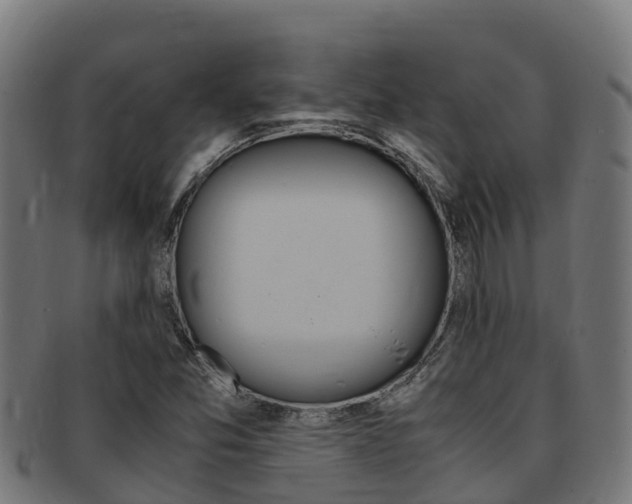 X0000091981357200709061144