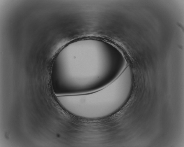 X0000091981359200709061144