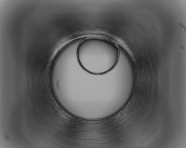 X0000091981360200709061144