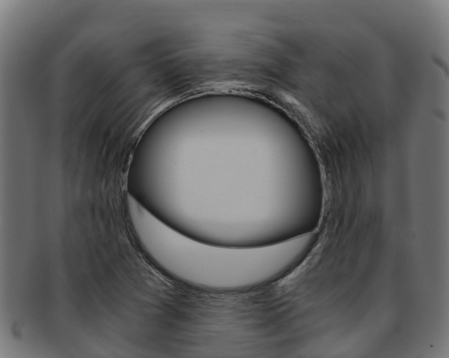 X0000091981361200709061144