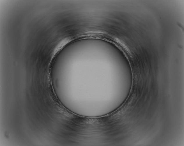 X0000091981362200709061144