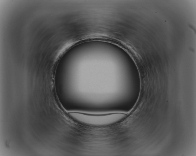X0000091981363200709061144