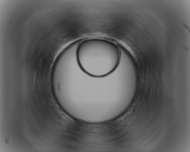 X0000091981364200709061144