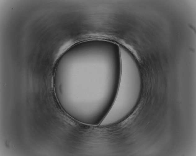 X0000091981365200709061144