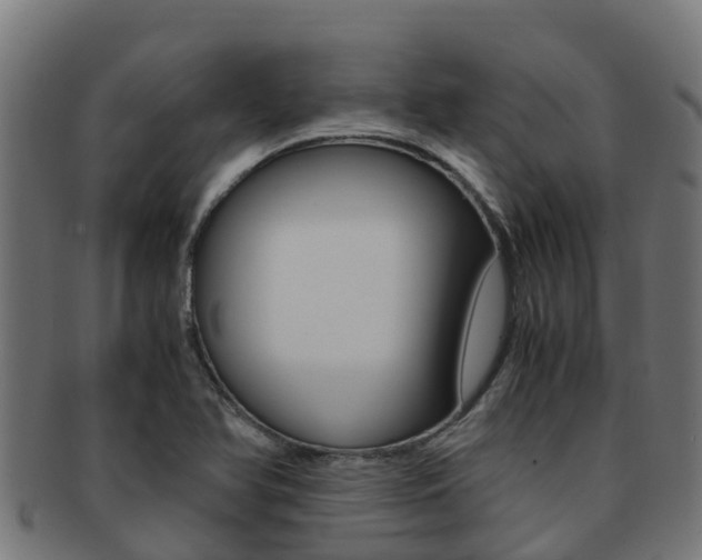 X0000091981366200709061144