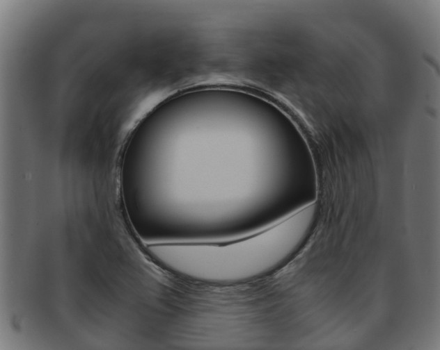 X0000091981367200709061144