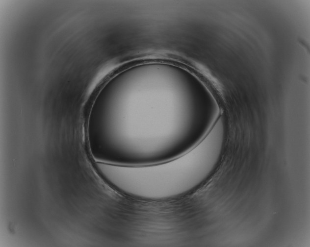 X0000091981368200709061144