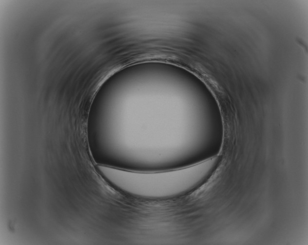 X0000091981369200709061144