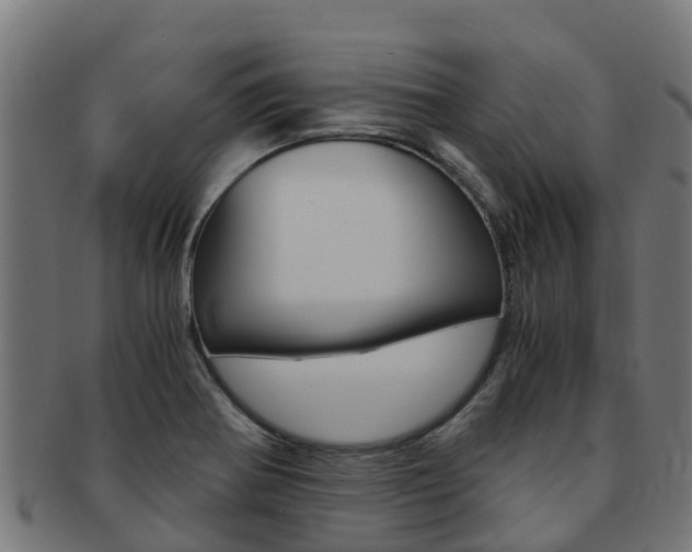 X0000091981370200709061144