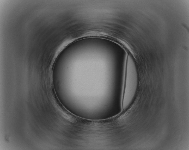X0000091981371200709061144
