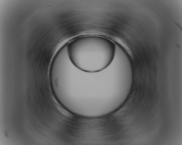 X0000091981372200709061144