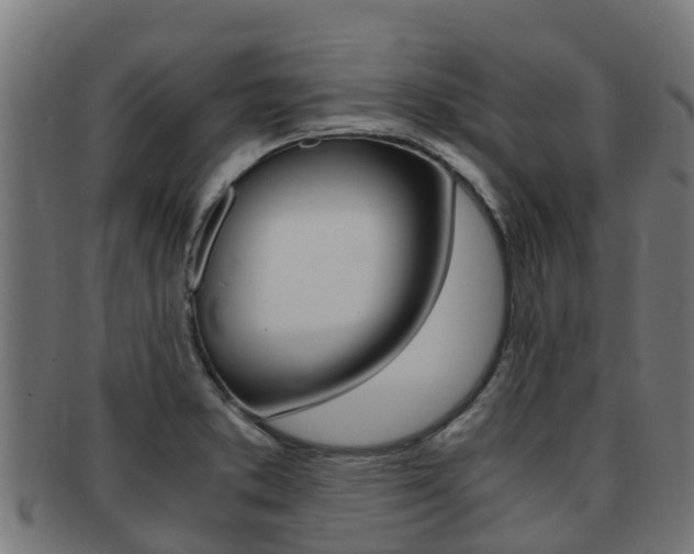X0000091981373200709061144