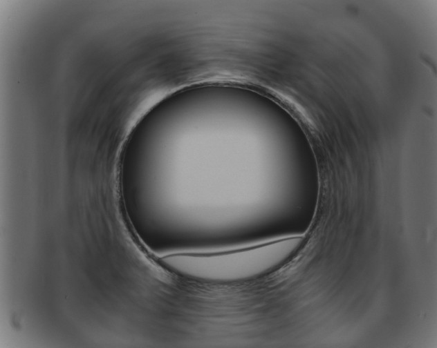 X0000091981375200709061144