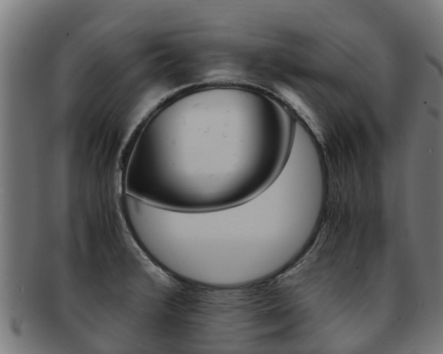 X0000091981376200709061144
