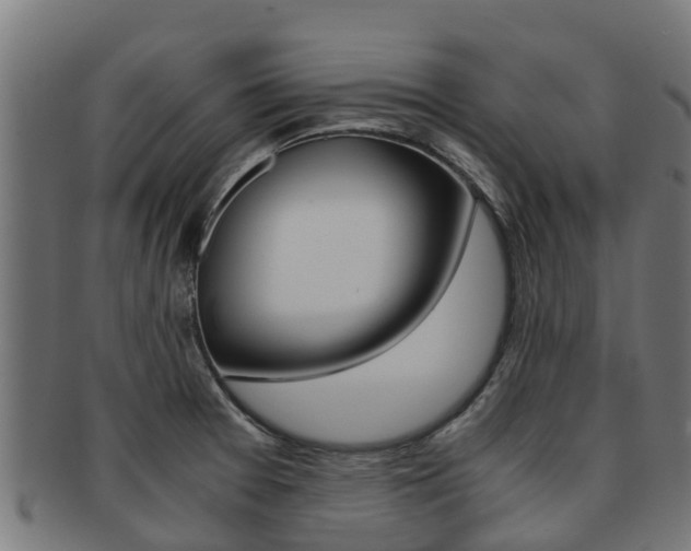 X0000091981377200709061144