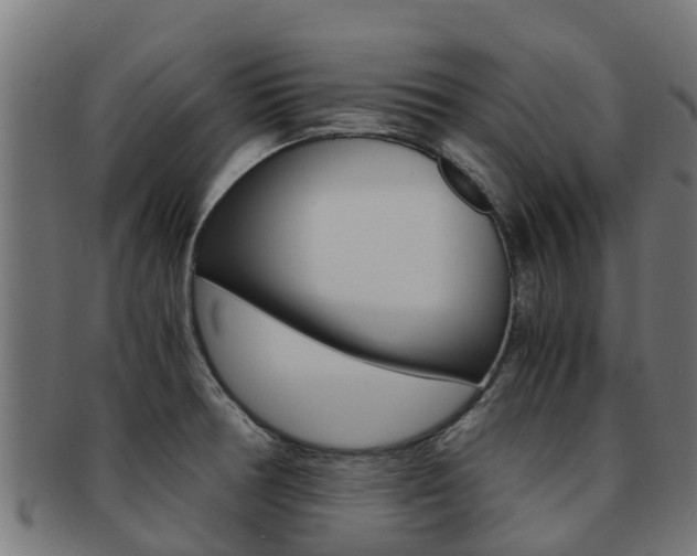 X0000091981378200709061144