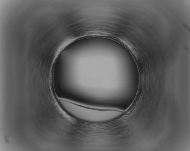 X0000091981379200709061144