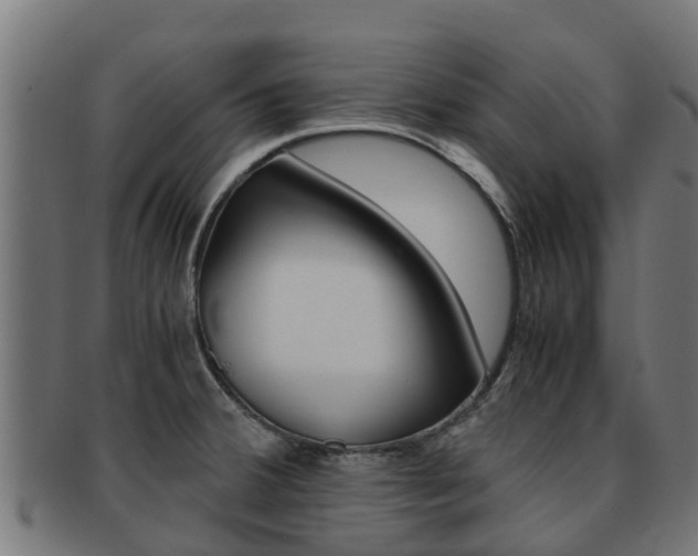 X0000091981380200709061144