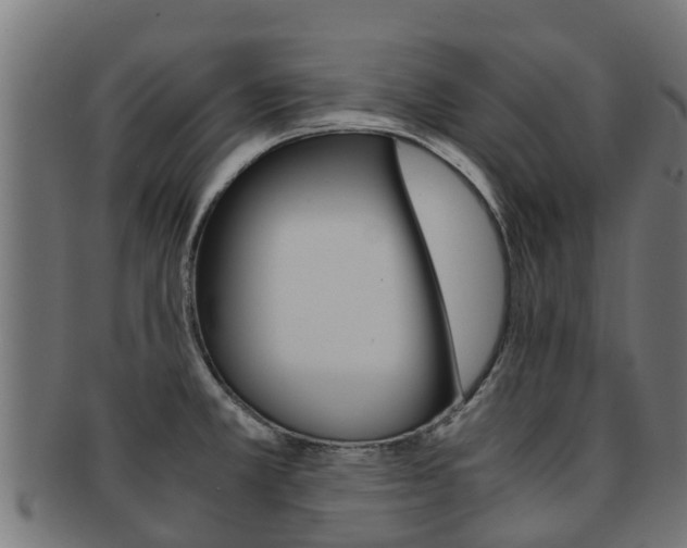 X0000091981381200709061144