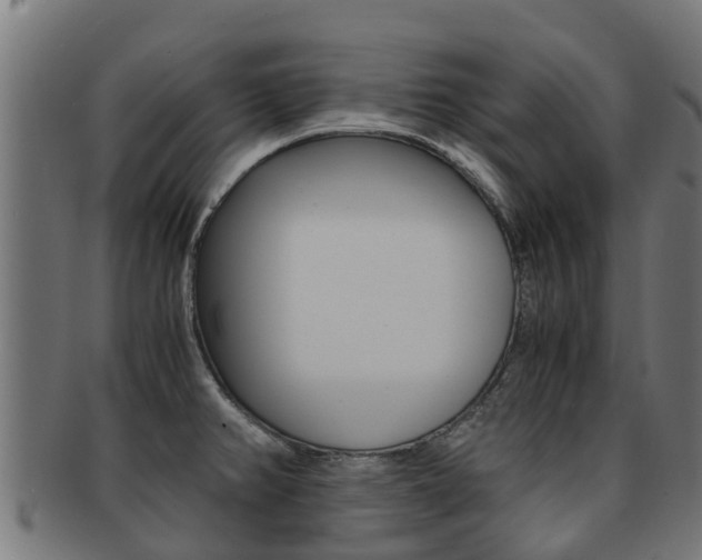 X0000091981382200709061143