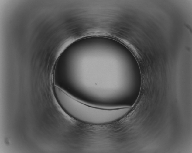 X0000091981383200709061143