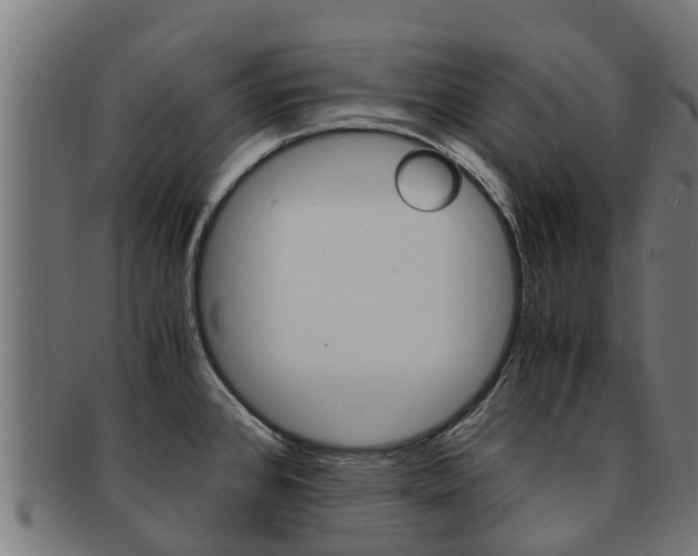 X0000091981384200709061143