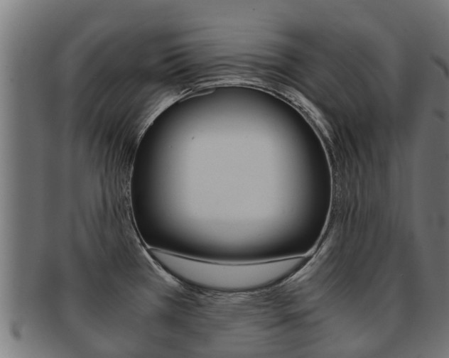 X0000091981385200709061143