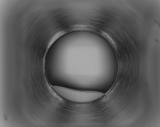 X0000091981386200709061143
