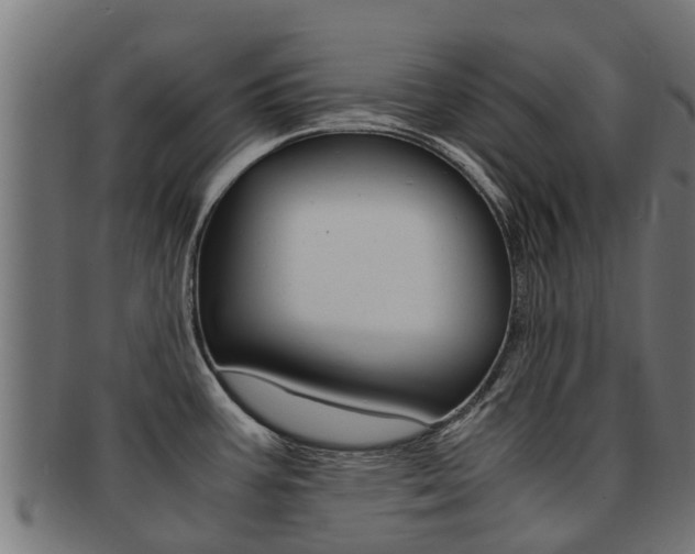 X0000091981387200709061143